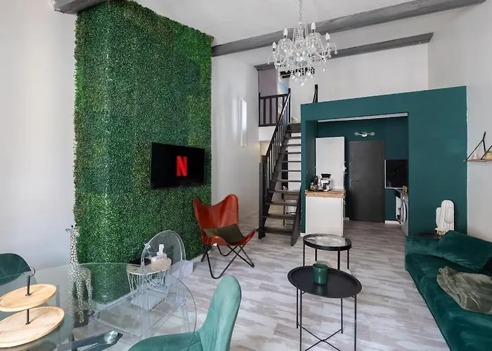Duplex Elegant A Montauban